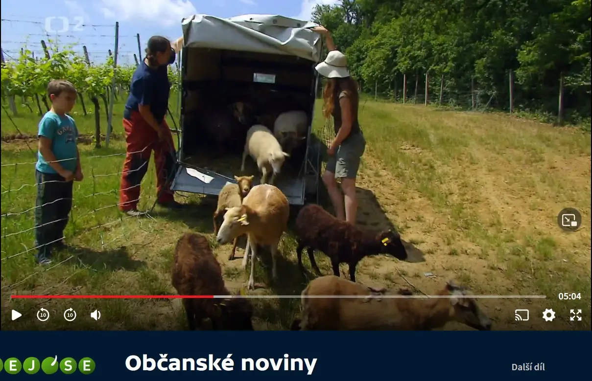 ČSOP Morava v Občanských novinách