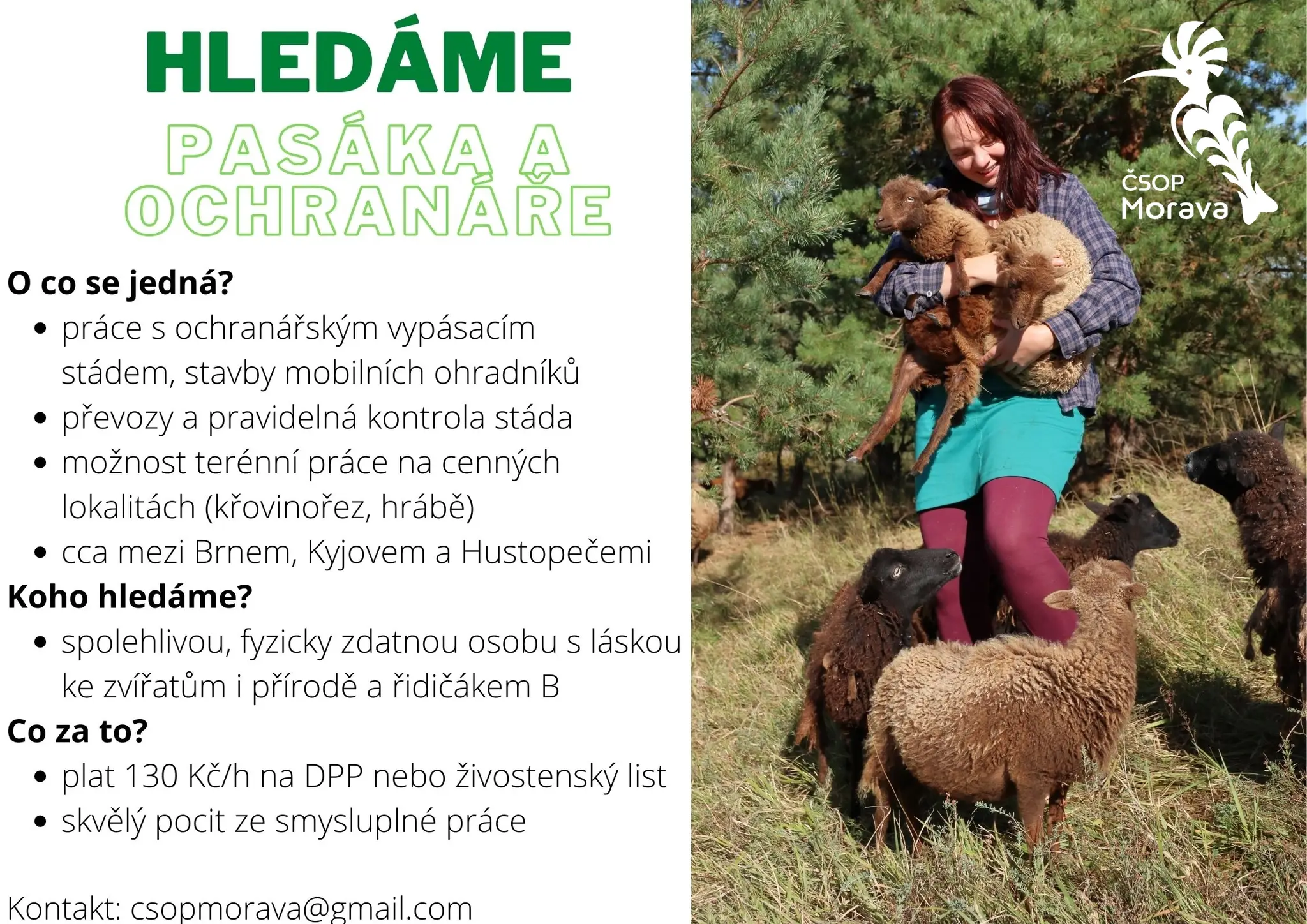 Hledáme posilu do týmu!