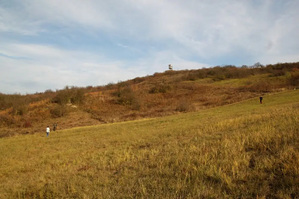 Výřezy na Hochberku - přidejte se!