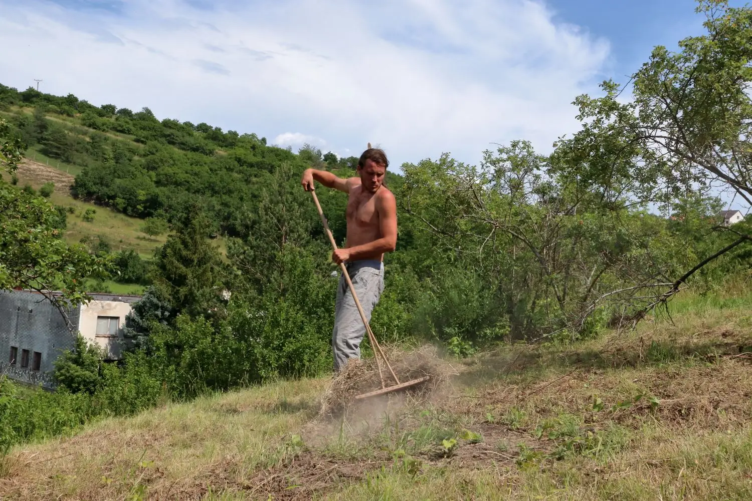 Červencové terény