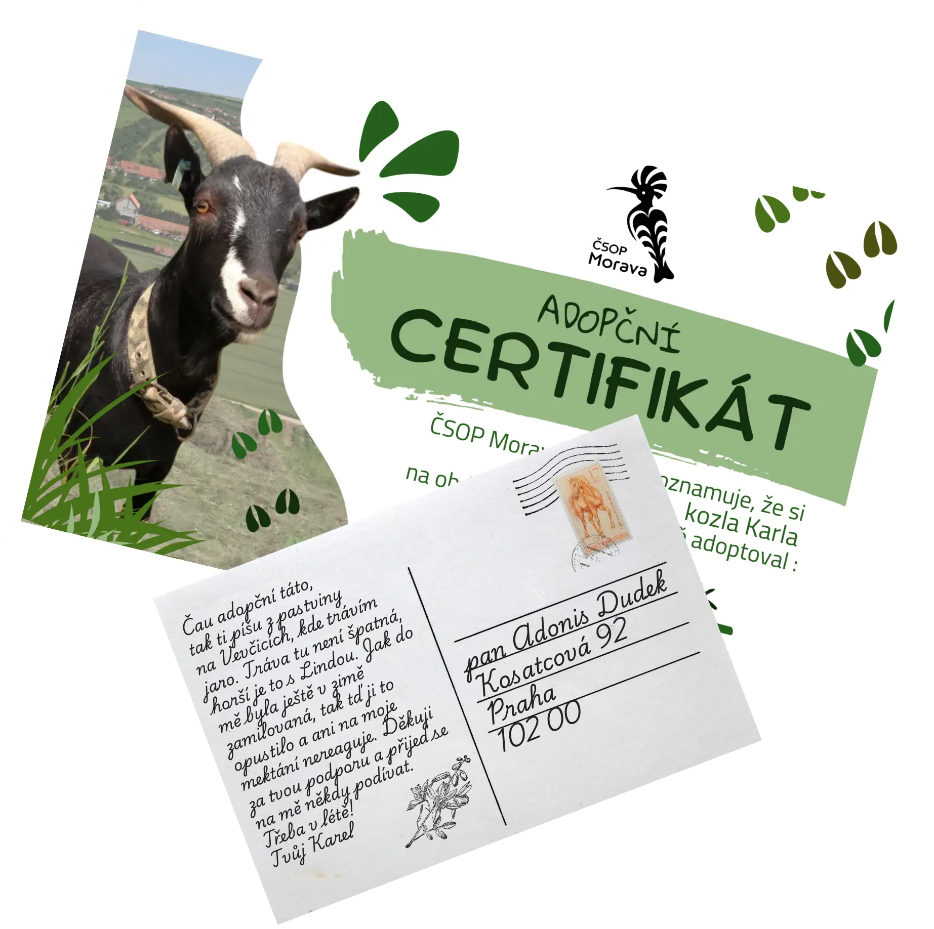 Ukázkový adopční certifikát