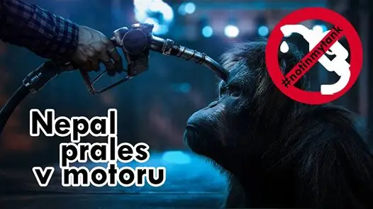 NE mýcení pralesů, ANO zastavení podpory biopaliv!