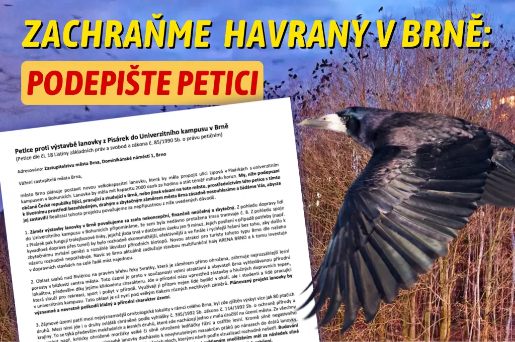 Zachraňmě havrany - petice