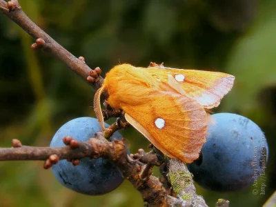 Plány pro příští roky ve znamení cataxe