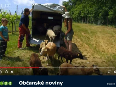 ČSOP Morava v Občanských novinách