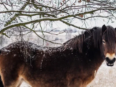 Jedna z největších ochranářských akcí letošního roku!!