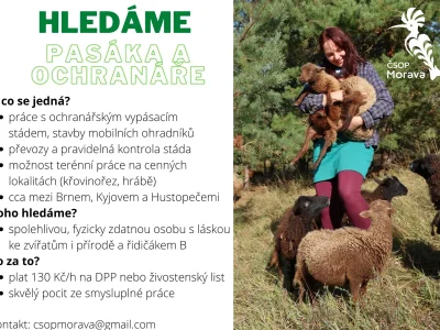 Hledáme posilu do týmu!