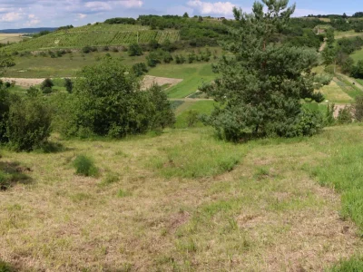 červencové akce