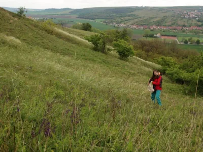 Červnové akce