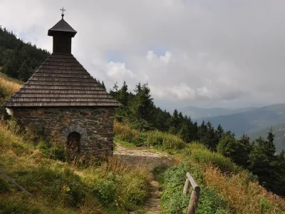 Pomozte zachránit jedinečnou přírodu Vřesové studánky v Jeseníkách!