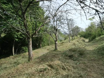 Archlebov - zarostlý sad