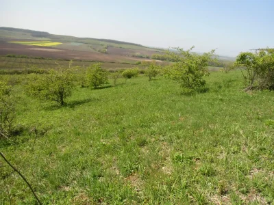 NPP Dunajovické Kopce