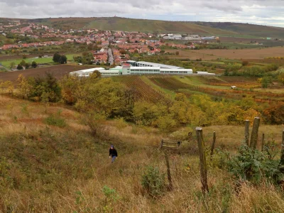 Kobylská stráň - Lácary