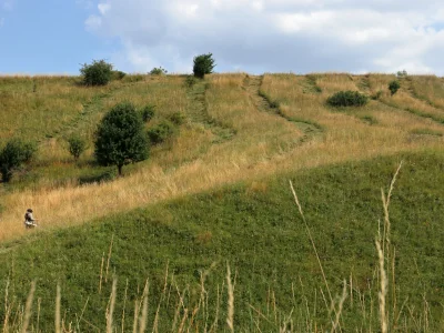 NPP Na Adamcích