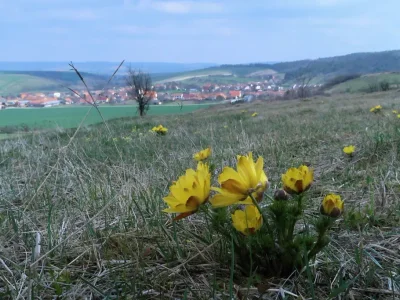 NPP Na Adamcích