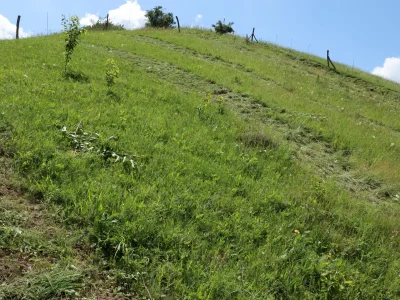 NPP Na Adamcích