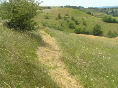 NPP Na Adamcích