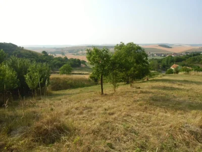 Nenkovice - Syslovce