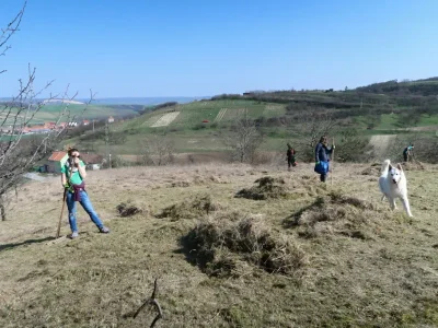 Nenkovice - Syslovce