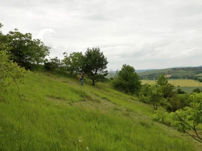Nenkovice - Syslovce