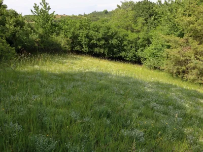 Nenkovice - Syslovce