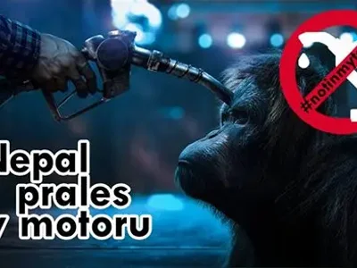 NE mýcení pralesů, ANO zastavení podpory biopaliv!