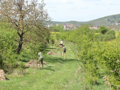 Ostopovice
