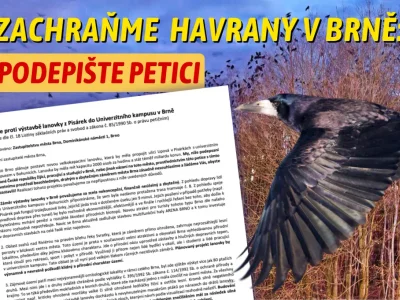Zachraňmě havrany - petice