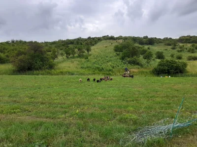 Popická stráň - PP Hochberk